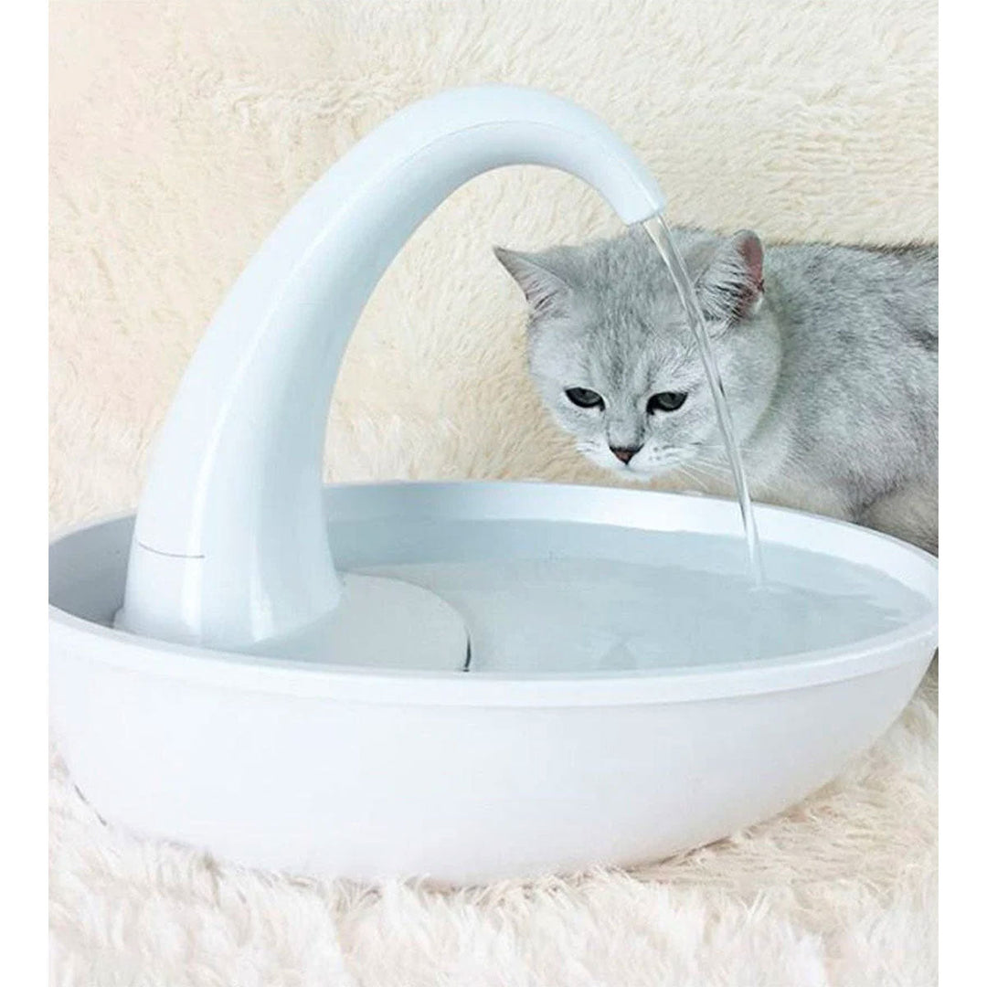 Premie Automatisk Katter Vattenfontän