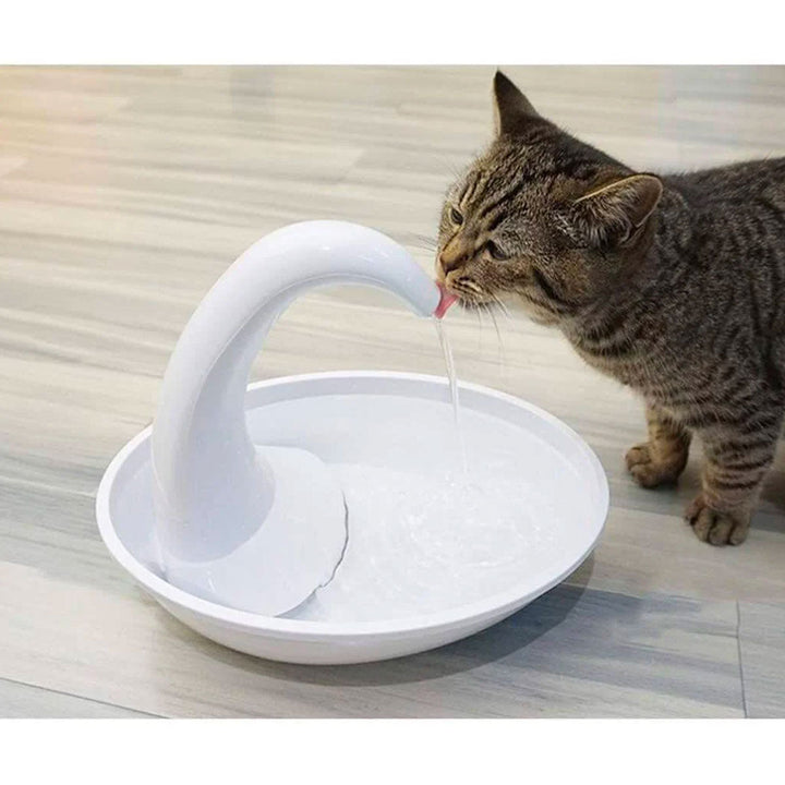 Premie Automatisk Katter Vattenfontän