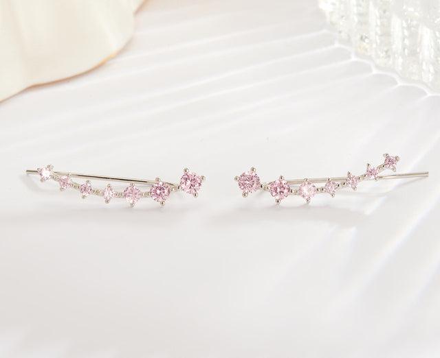 Quinn | Glamorösa Sterling Silver 925 Zirkon Stiftörhängen