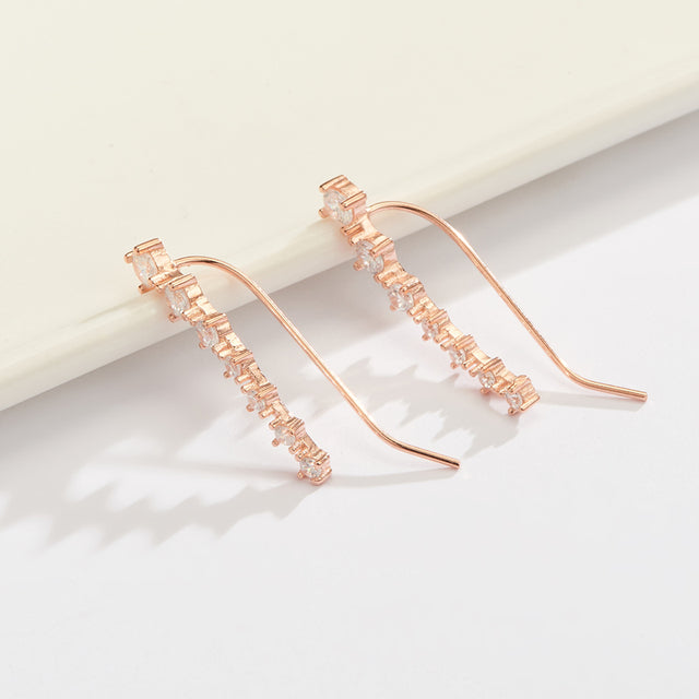 Quinn | Glamorösa Sterling Silver 925 Zirkon Stiftörhängen