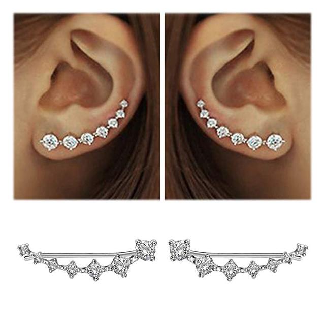 Quinn | Glamorösa Sterling Silver 925 Zirkon Stiftörhängen