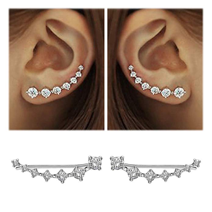 Quinn | Glamorösa Sterling Silver 925 Zirkon Stiftörhängen