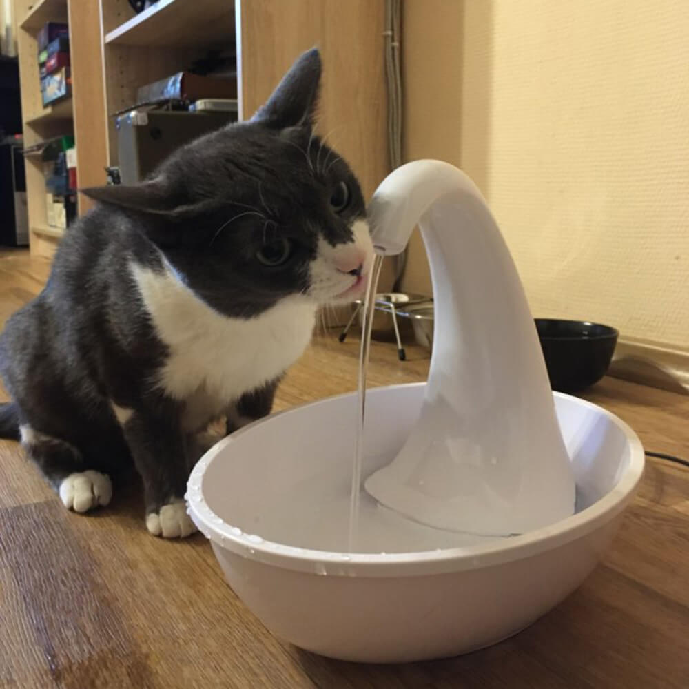 Premie Automatisk Katter Vattenfontän