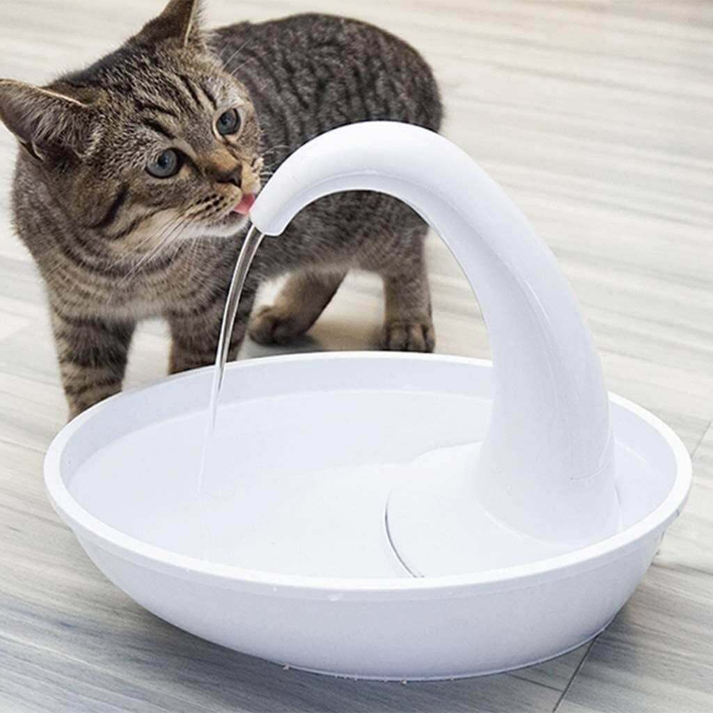 Premie Automatisk Katter Vattenfontän