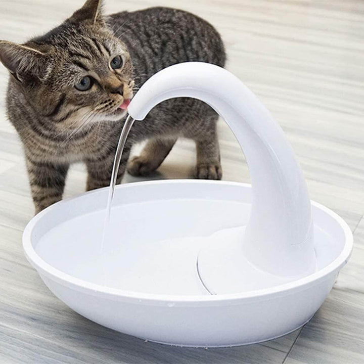 Premie Automatisk Katter Vattenfontän