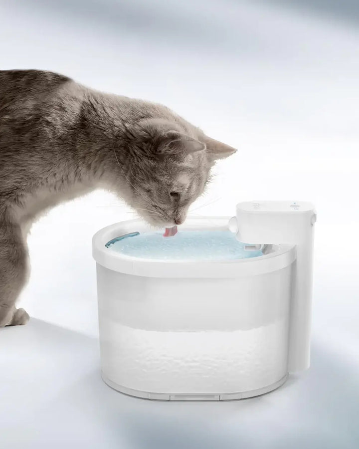 Smart Sensor Automatisk Katt Vattenfontän