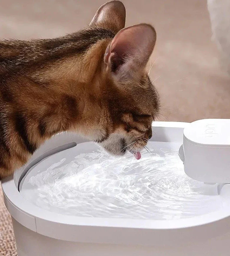 Smart Sensor Automatisk Katt Vattenfontän