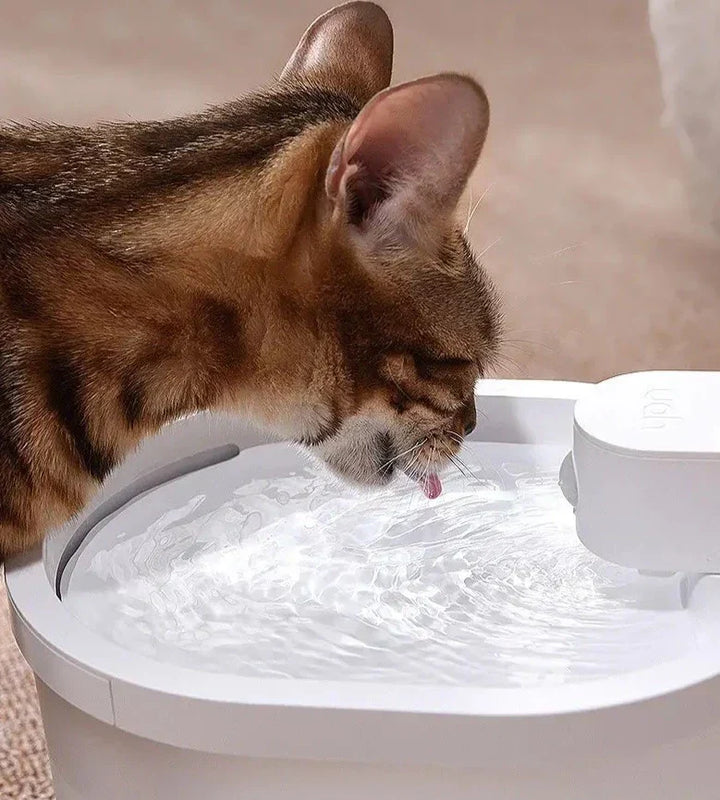 Smart Sensor Automatisk Katt Vattenfontän