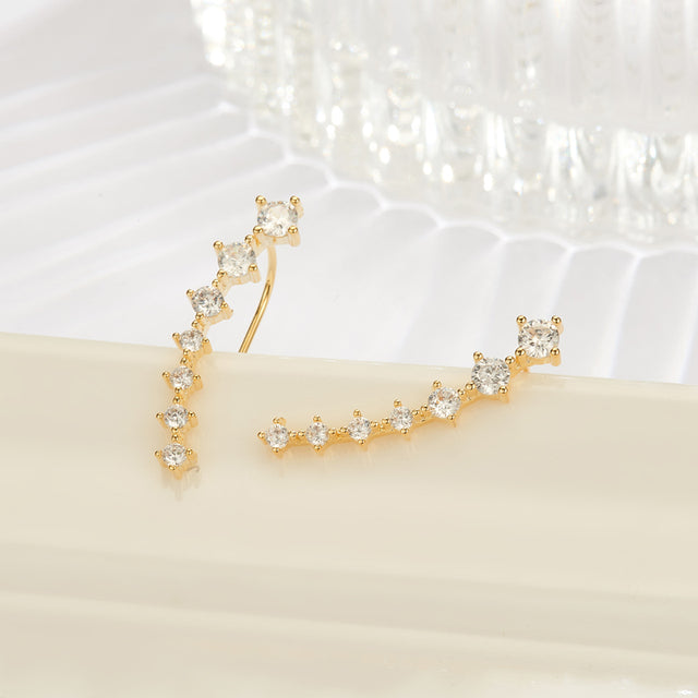 Quinn | Glamorösa Sterling Silver 925 Zirkon Stiftörhängen
