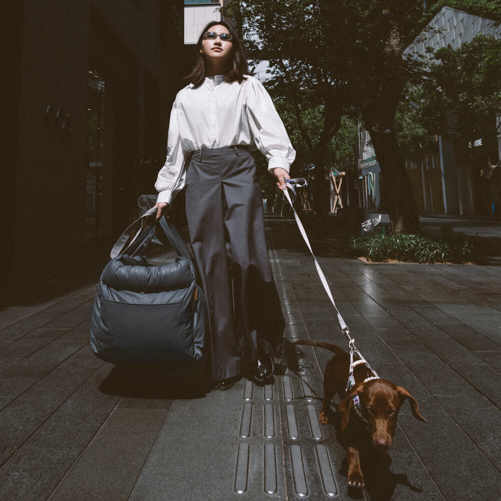Luxe Hund Bilbarnstol | Bekväm Och Säker Resebädd