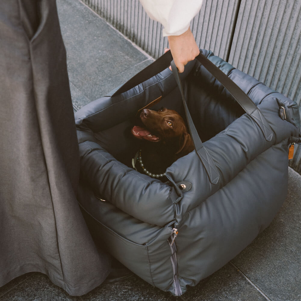 Luxe Hund Bilbarnstol | Bekväm Och Säker Resebädd
