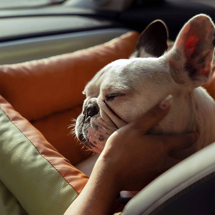 Luxe Hund Bilbarnstol | Bekväm Och Säker Resebädd