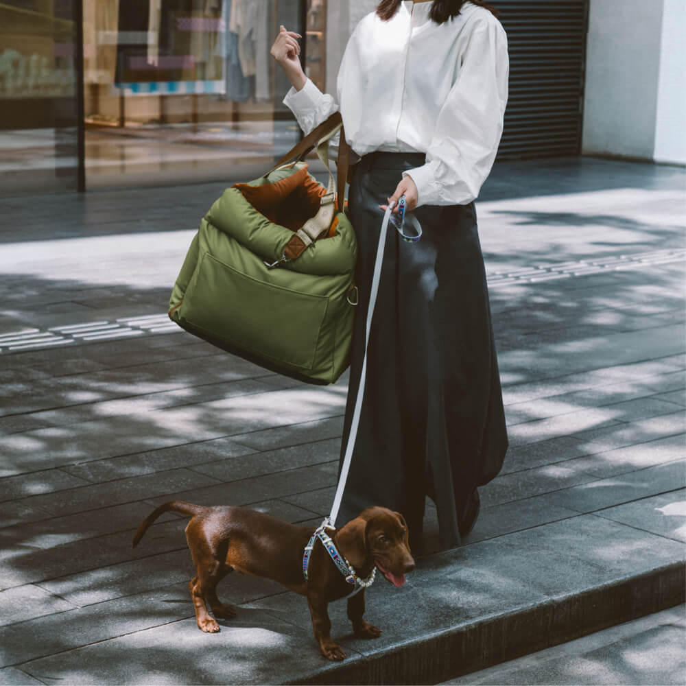 Luxe Hund Bilbarnstol | Bekväm Och Säker Resebädd