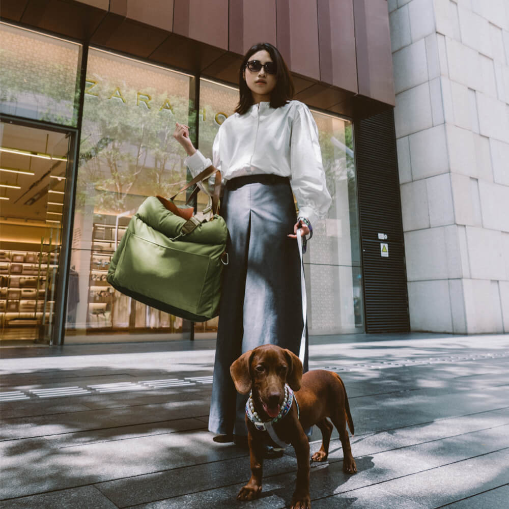 Luxe Hund Bilbarnstol | Bekväm Och Säker Resebädd