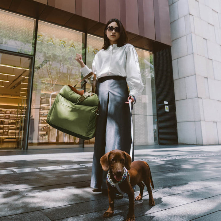 Luxe Hund Bilbarnstol | Bekväm Och Säker Resebädd