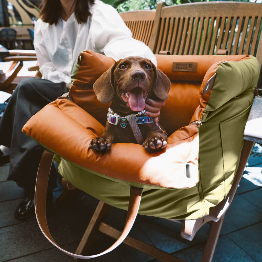 Luxe Hund Bilbarnstol | Bekväm Och Säker Resebädd