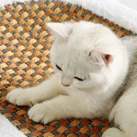 Katt Klös Sängen | Mysig Plysch Skrapan För Katter